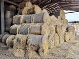 Agripellets (paille) 24-120 tonnes/mois de Pologne - фото 4