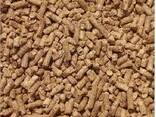 Feed That Delivers – Consistent Results for Poultry &amp; Livestock - фото 2
