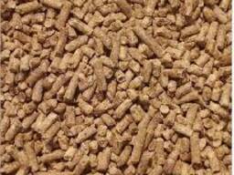 All-Natural Animal Feed – Clean, Balanced, and Effective