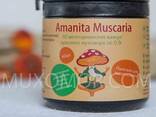Amanita rouge en capsules - Microdosage Amanita 60 pièces de 0,5g Ukraine /Мухомор красный