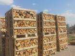 Apple tree firewood - photo 3