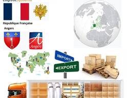 Автотранспортні вантажні перевезення з Анже в Анже разом з Logistic Systems
