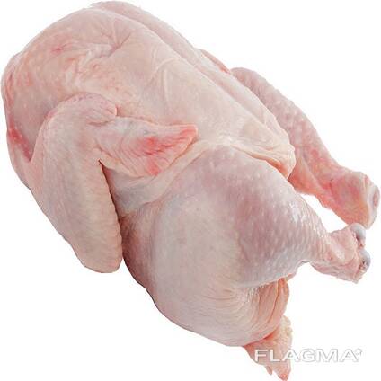 Best Grade Quality Halal Chicken