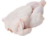 Best Grade Quality Halal Chicken - фото 2