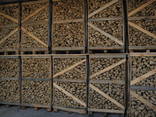 Hornbeam Firewood / Bois de chauffage - фото 7