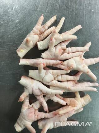 Brazil Frozen Chicken Feet / Chicken Wings Supplier to China