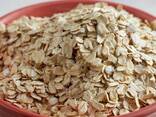 Quality Organic Dried Oats Flakes - photo 1