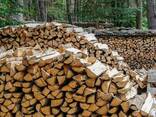 Disponible des bois de chauffage sec et prêt à être utilisé - фото 2