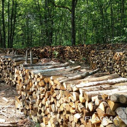 Dry Firewood full truck load France North east