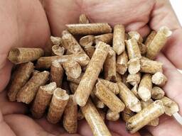 ENA1 Top Grade wood pellets for sell