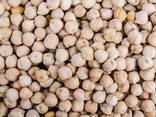 Export Chickpeas - photo 1