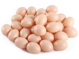 Fertilized Chicken Eggs/ Cobb 500 Broiler Chicken Eggs/Fresh Cobb 700 Fertile eggs/ Eggs