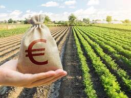 Финансовый кредит и инвестиции