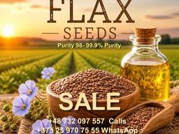 Flax seeds GOLD / BROWN Sale Supplies DDP DAP Europe Turnkey from Poland company BUY NOW