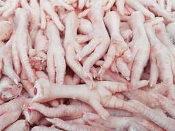 Frozen chicken feet and paws for sale to China