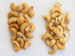 Good Quality Cashew Nuts / Cashew Nut Kernels W240 W320 - photo 4