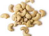 Good Quality Cashew Nuts / Cashew Nut Kernels W240 W320 - photo 5
