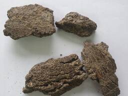 Gâteau au tournesol