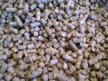 High Quality Wood Pellets, Pine and Oak Wood Pellets EU - photo 1