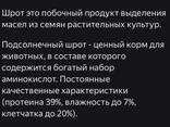 Кормовые добавки для КРС и птицы (жом, жмых, шрот) - фото 5