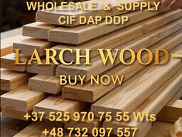 Larch lumber sale in Europe from a warehouse in Lithuania and delivered to your address -
