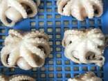 Мороженная рыба и морепродукты во Францию от завода из КНР - фото 6
