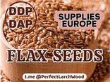 Mustard Seeds Sale Supplies turnkey DAP DDP Europe UK from Poland company - BUY NOW! - фото 1