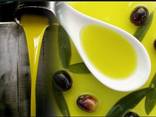 Оливковое масло, оптовые поставки - фото 1
