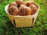 Paniers en placage de fruits - photo 2