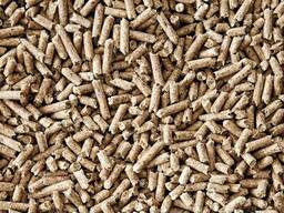 Pastilles combustible