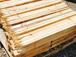 Pine Timber - фото 3