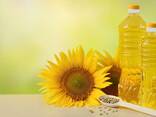 Подсолнечное масло оптом - фото 1