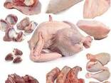 Poulet halal : entier ou en morceaux - rapide et avantageux La meilleure viande pour les m - photo 1