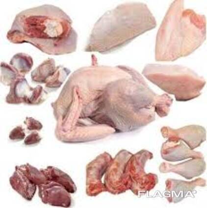 Poulet halal : entier ou en morceaux - rapide et avantageux La meilleure viande pour les m