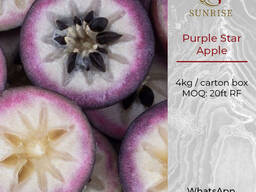 Purple Star Apple from Vietnam