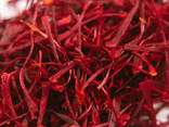 Saffron herb for sale - фото 1