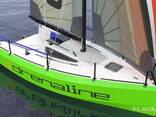 Sail boat Lion 550 "Adrenaline" - фото 1