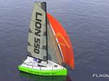 Sail boat Lion 550 "Adrenaline" - фото 3