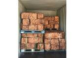 Scrap Wire Copper Promotion Metal Scrap 99.9 Purity Insulated Wire - photo 3