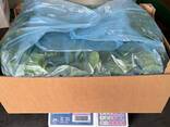 Spinach - photo 7