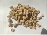 Straw pellets from Ukraine - photo 1