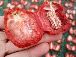 Sun Dried Tomatoes Premium Quality Bulk Export Grade