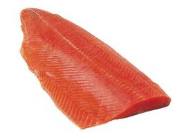 Supplier Sales Frozen Chum Salmon Fillet Wholesale