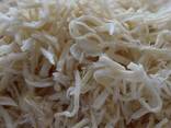 Сушеный кальмар во Францию от завода из Китая - фото 4