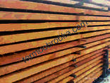 Thermo wood - photo 5