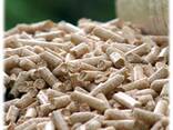Top Selling Quality Din Wood Pellets/Pine Wood Pellets/Oak - photo 1