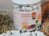 Trochatka antiparasitaire avec tue-mouche en capsules 120 pcs. 0,5 g chacun/Тройчатка