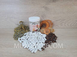 Trochatka antiparasitaire avec tue-mouche en capsules 120 pcs. 0,5 g chacun/Тройчатка