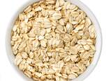 Wholesale Cheap Price Best Quality Organic Brown AD Dried Oats Flakes 24 Months - photo 2