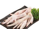 Wholesale Halal Frozen Chicken Feet/Paws /drum stick / Frozen Chicken Feet/High Quality Fr - фото 7